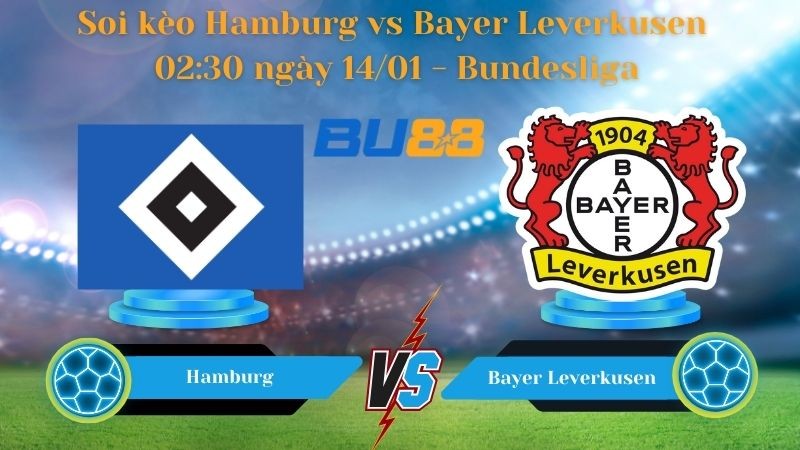 BU88 Nhận định bóng đá Hamburg vs Bayer Leverkusen 02:30 ngày 14/01 - Bundesliga
